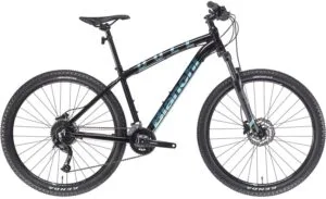 Bianchi Duel - 29s - Alivio 2x9sp 2022