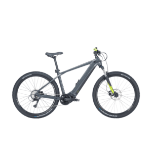 Bulls LT CX Evo Gris 750 wh