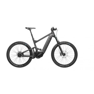 Riese & Muller Delite Mountain Rohloff 2022