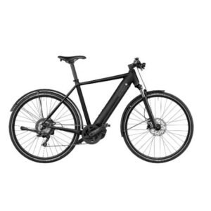 Riese & Muller Roadster vario