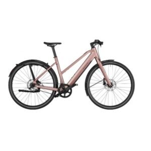 Riese & Muller Seven Singlespeed