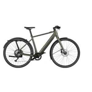 Riese & Muller UBN Five Singlespeed