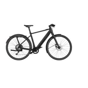 Riese & Muller UBN Five Singlespeed