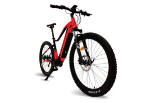 Velo Electrique Urbanbiker VTT Dakota PLUS Moteur Central 90Nm 840WH 48v 175Ah1