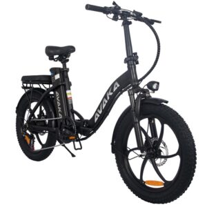 Vélo électrique AVAKA BZ20 30KM/H 500W moteur pneus 20 pouces 48V15Ah Noir