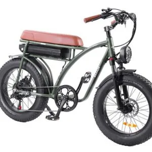 Vélo électrique BEZIOR XF001 rétro 45km/h 1000W moteur 20 pouces 48V12.5Ah Noir