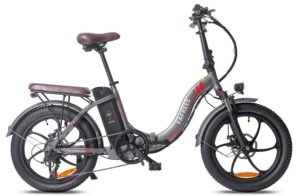Vélo électrique FAFREES F20 Pro 36V 18AH 250W - Bleu aurore - Gris