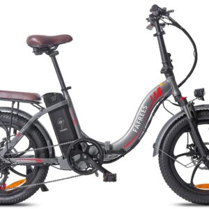 Vélo électrique FAFREES F20 Pro 36V 18AH 250W - Bleu aurore - Gris