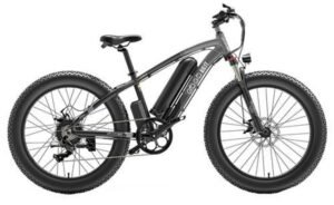 Vélo électrique GOGOBEST GF600 1000W 48V Noir gris