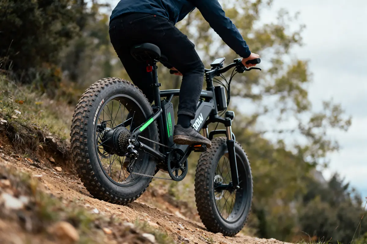 Fat bike électrique pliant 1000W : Pourquoi choisir ce modèle ?